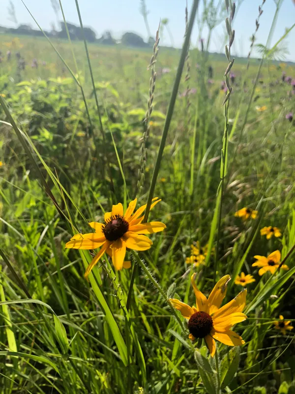 LongView-Farms-23