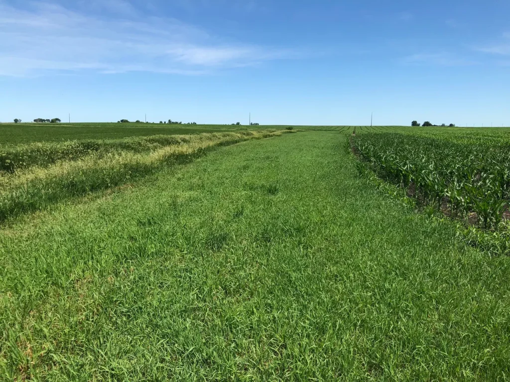 LongView-Farms-37